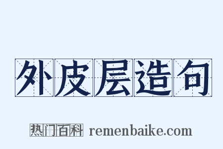 外皮层造句是什么意思的图片